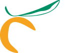 Tarongers Cítrics Serret